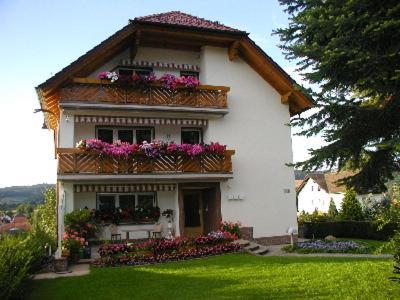Villa Bellevue Waldkappel Екстериор снимка